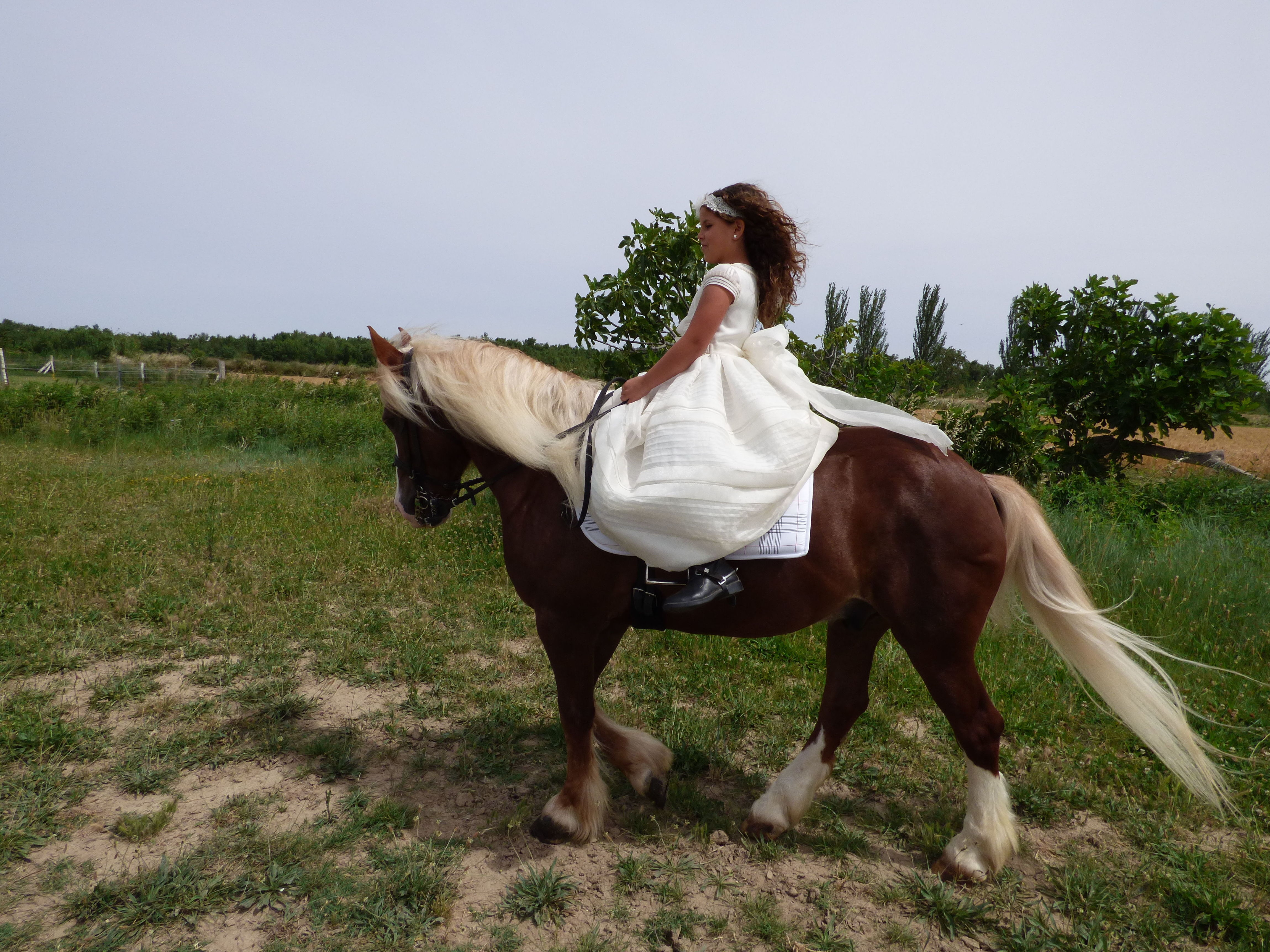 Sesiones fotográficas a caballo: Servicios de Hípica Riding School Sesiones fotográficas a caballo: Servicios de Hípica Riding School
