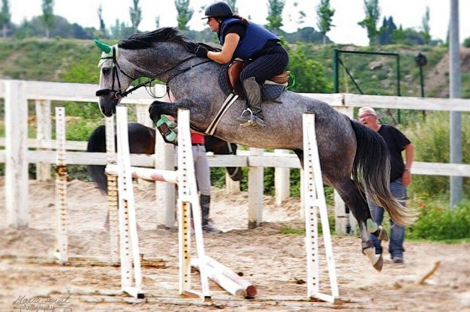 Clases de equitación: Servicios de Hípica Riding School Clases de equitación: Servicios de Hípica Riding School