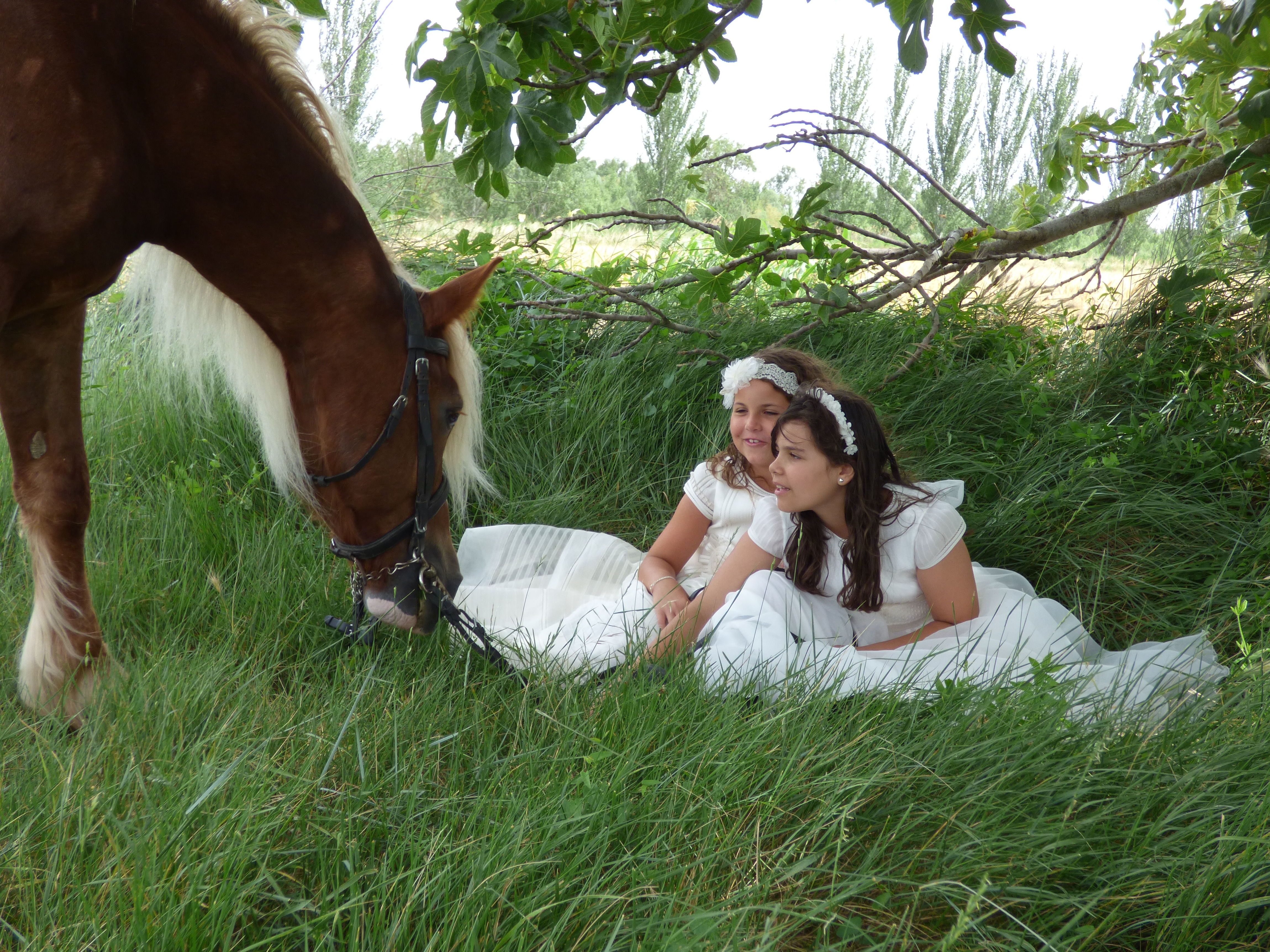 Sesiones fotográficas a caballo: Servicios de Hípica Riding School Sesiones fotográficas a caballo: Servicios de Hípica Riding School