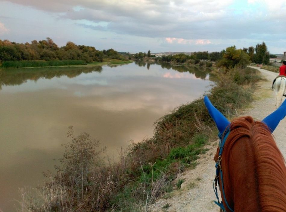Paseos a caballo: Servicios de Hípica Riding School Paseos a caballo: Servicios de Hípica Riding School