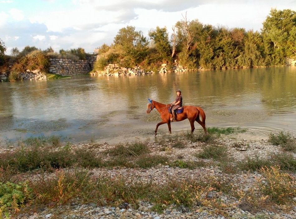 Paseos a caballo: Servicios de Hípica Riding School Paseos a caballo: Servicios de Hípica Riding School