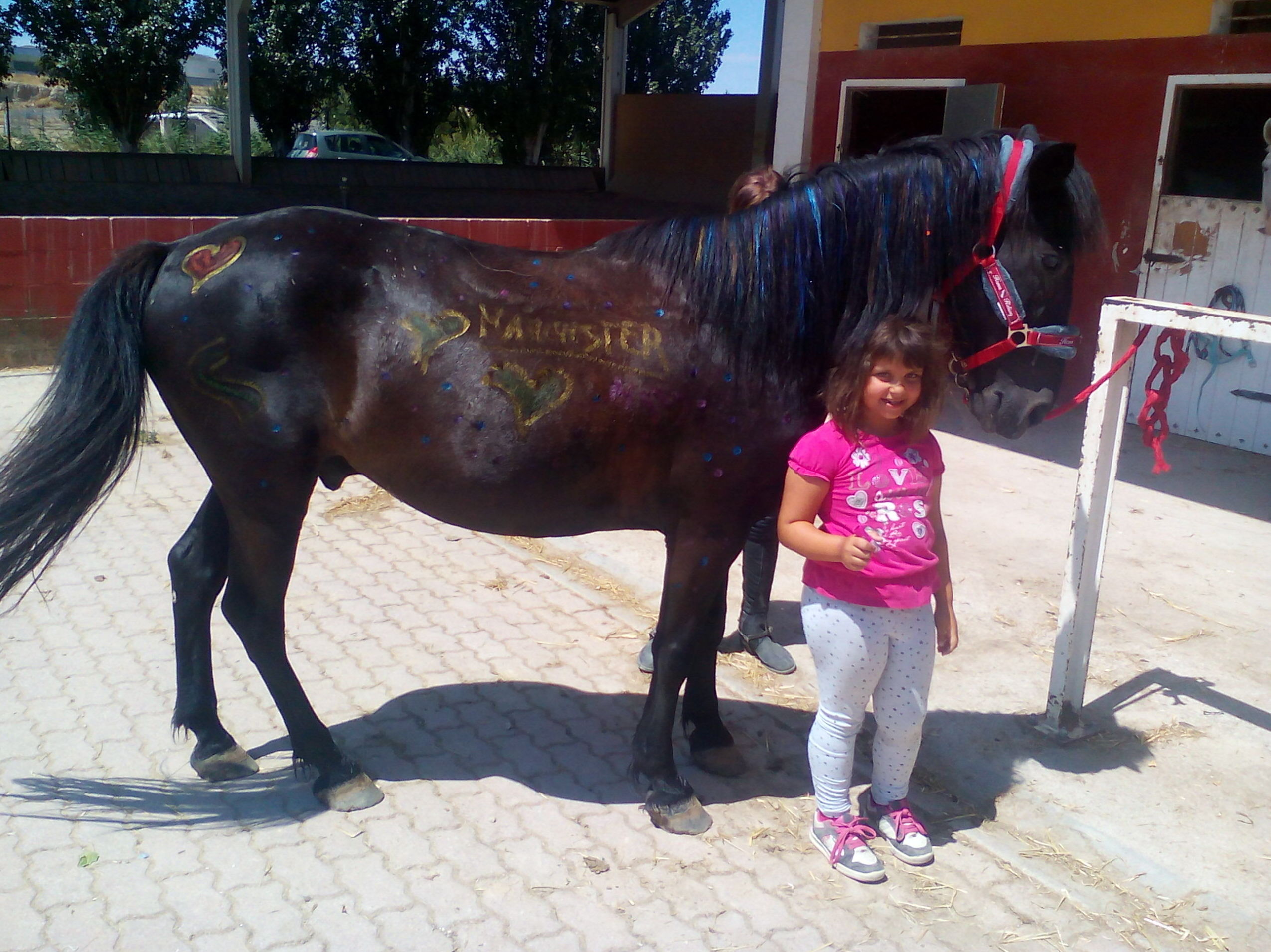 BABYPONY: Servicios de Hípica Riding School BABYPONY: Servicios de Hípica Riding School