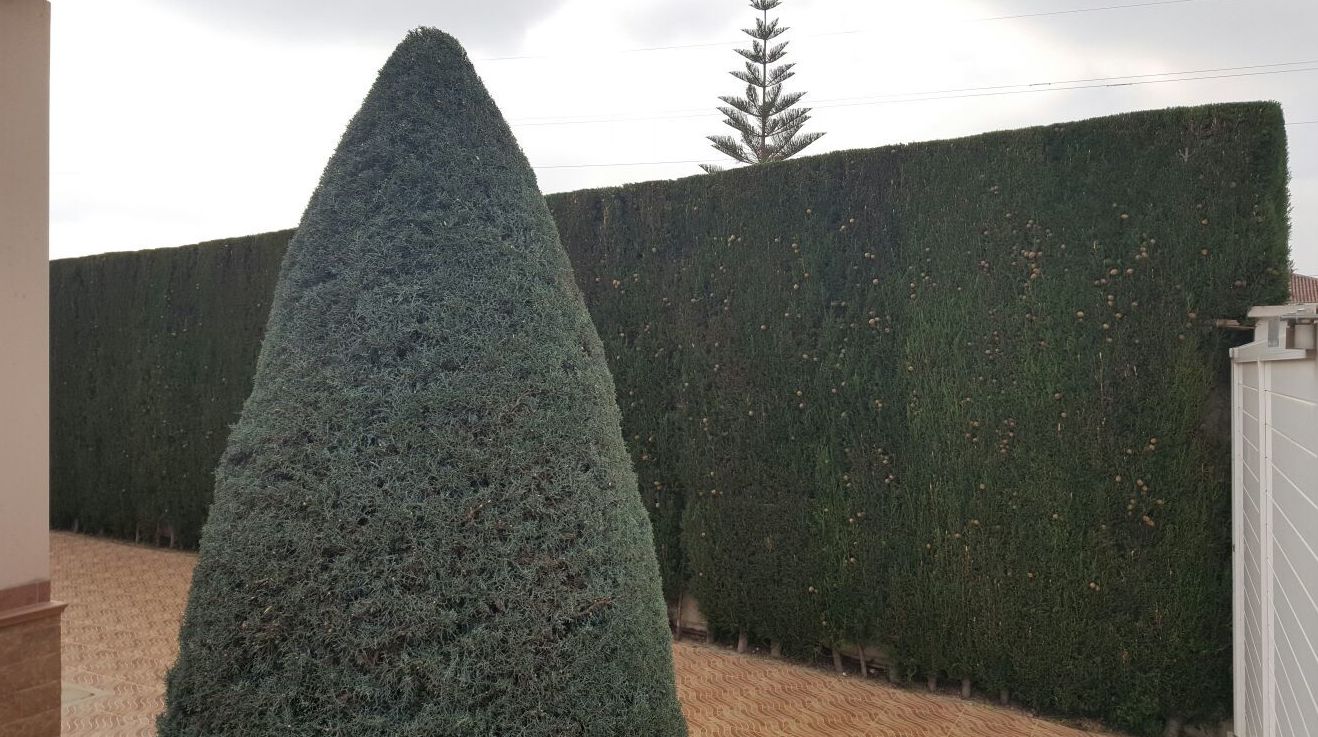 Diseño de jardines: Trabajos de Grun Garden Diseño de jardines: Trabajos de Grun Garden