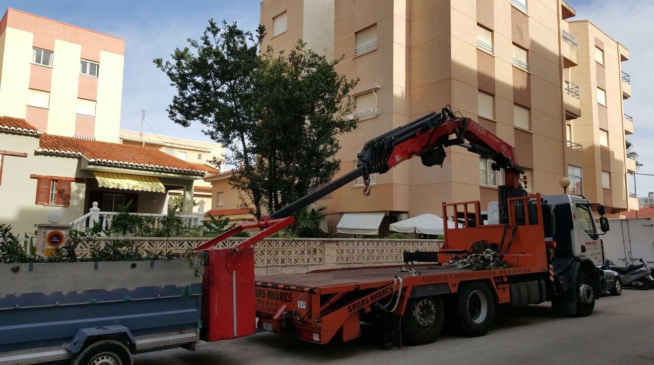 Limpieza : Trabajos de Grun Garden Limpieza : Trabajos de Grun Garden
