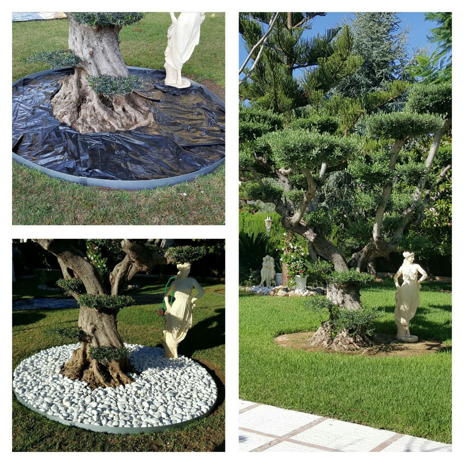 Diseño de jardines: Trabajos de Grun Garden Diseño de jardines: Trabajos de Grun Garden