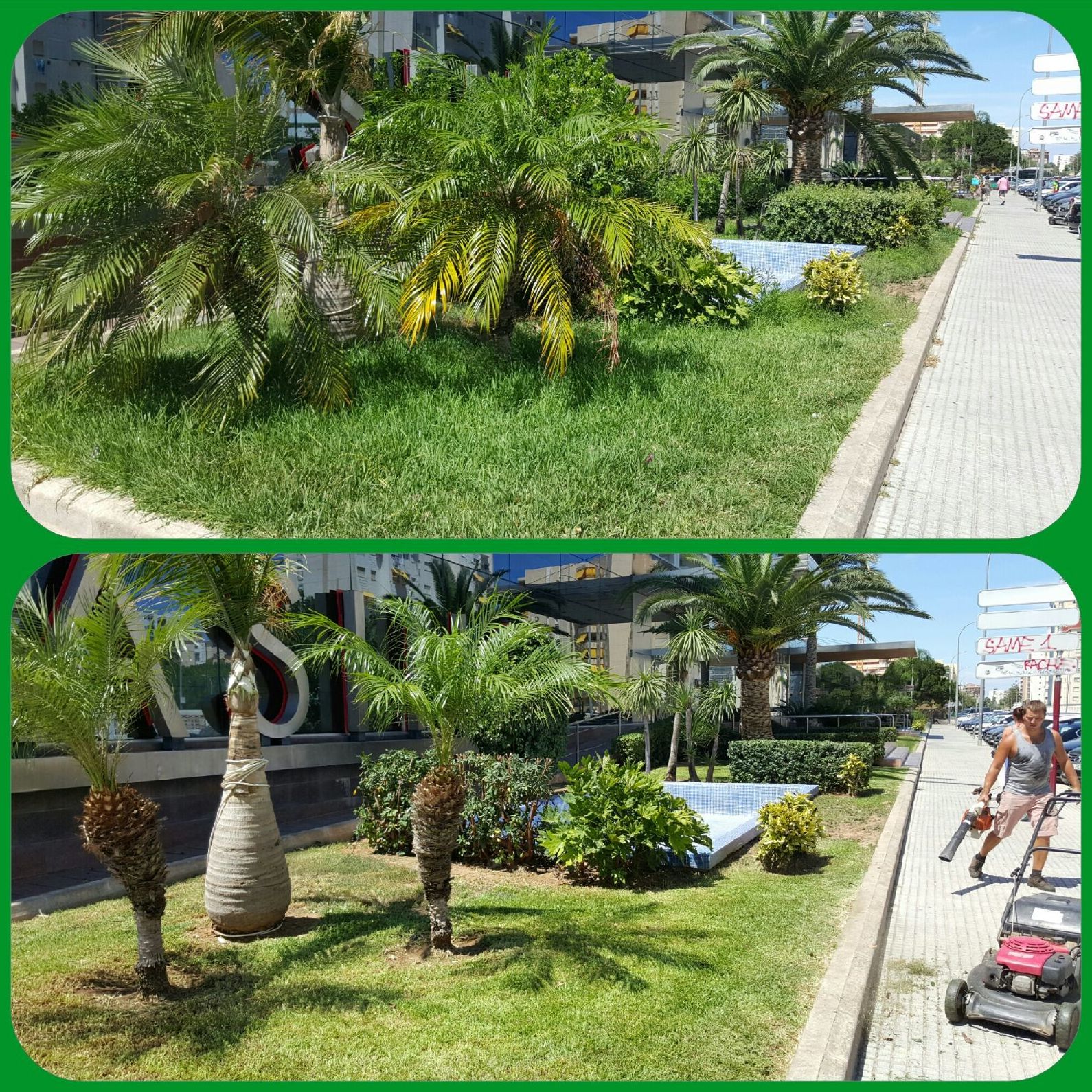 Diseño de jardines: Trabajos de Grun Garden Diseño de jardines: Trabajos de Grun Garden
