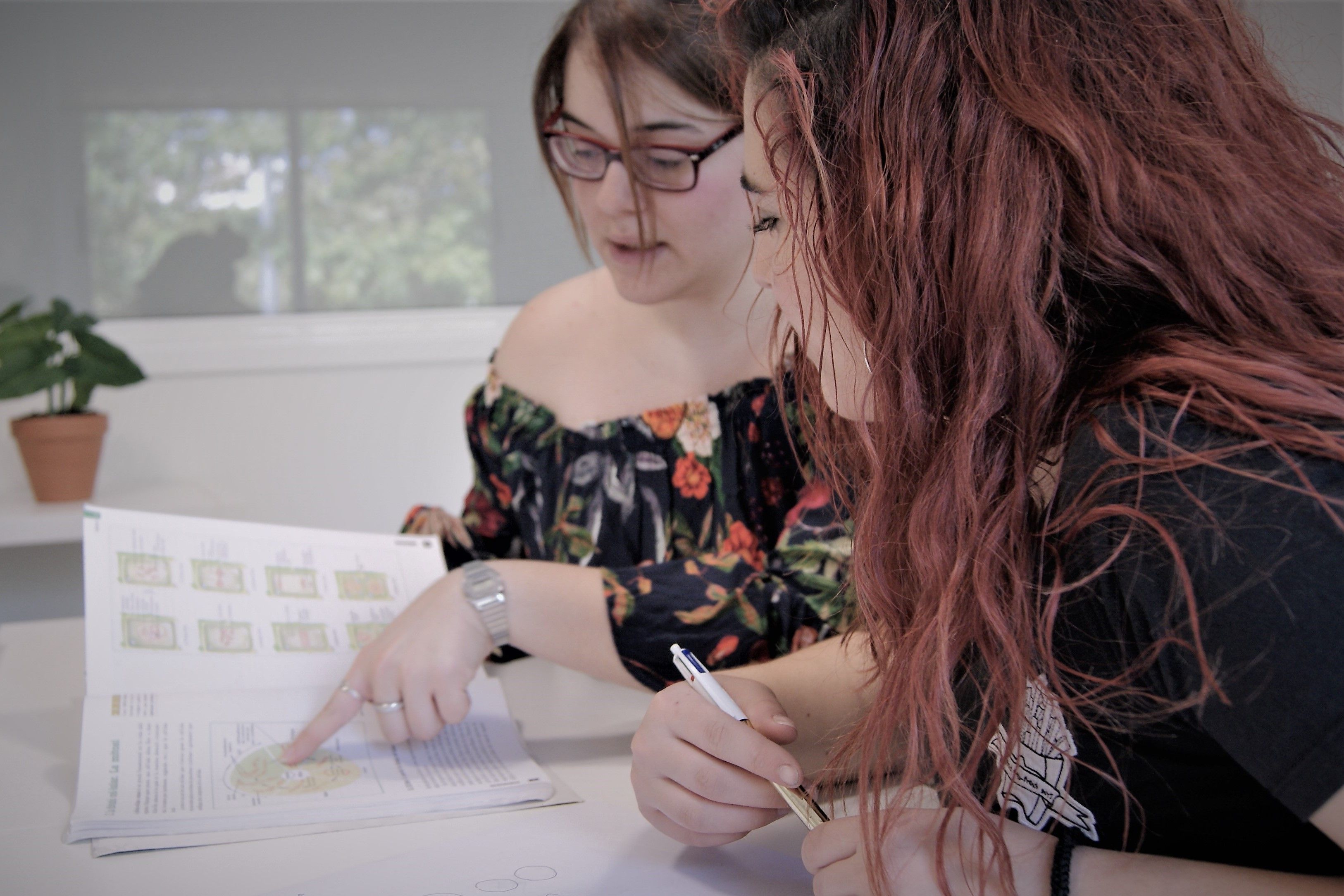 Clases individuales: Clases en la academia de Acadèmia Logia Clases individuales: Clases en la academia de Acadèmia Logia