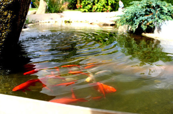 Jardinería y paisajismo A Coruña Jardinería y paisajismo A Coruña