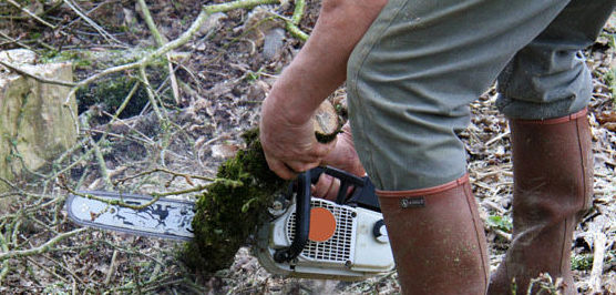 Desbroces: Trabajos de Panda Jardín Desbroces: Trabajos de Panda Jardín