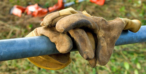 Desbroces: Trabajos de Panda Jardín Desbroces: Trabajos de Panda Jardín
