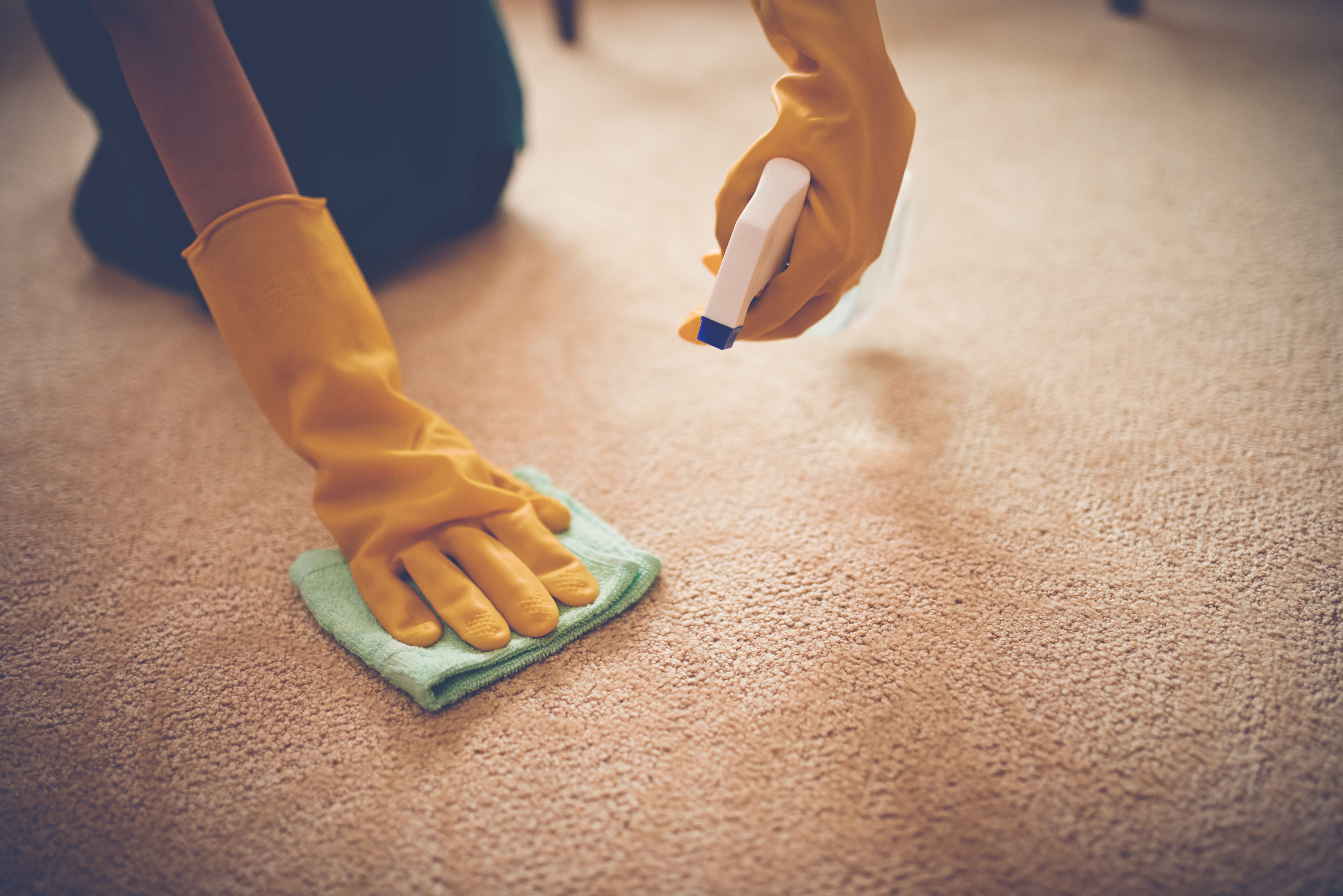 Limpieza de alfombras y moquetas: Servicios de Selimca Limpieza de alfombras y moquetas: Servicios de Selimca