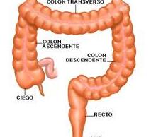 Hidroterapia Colon Tenerife Hidroterapia Colon Tenerife