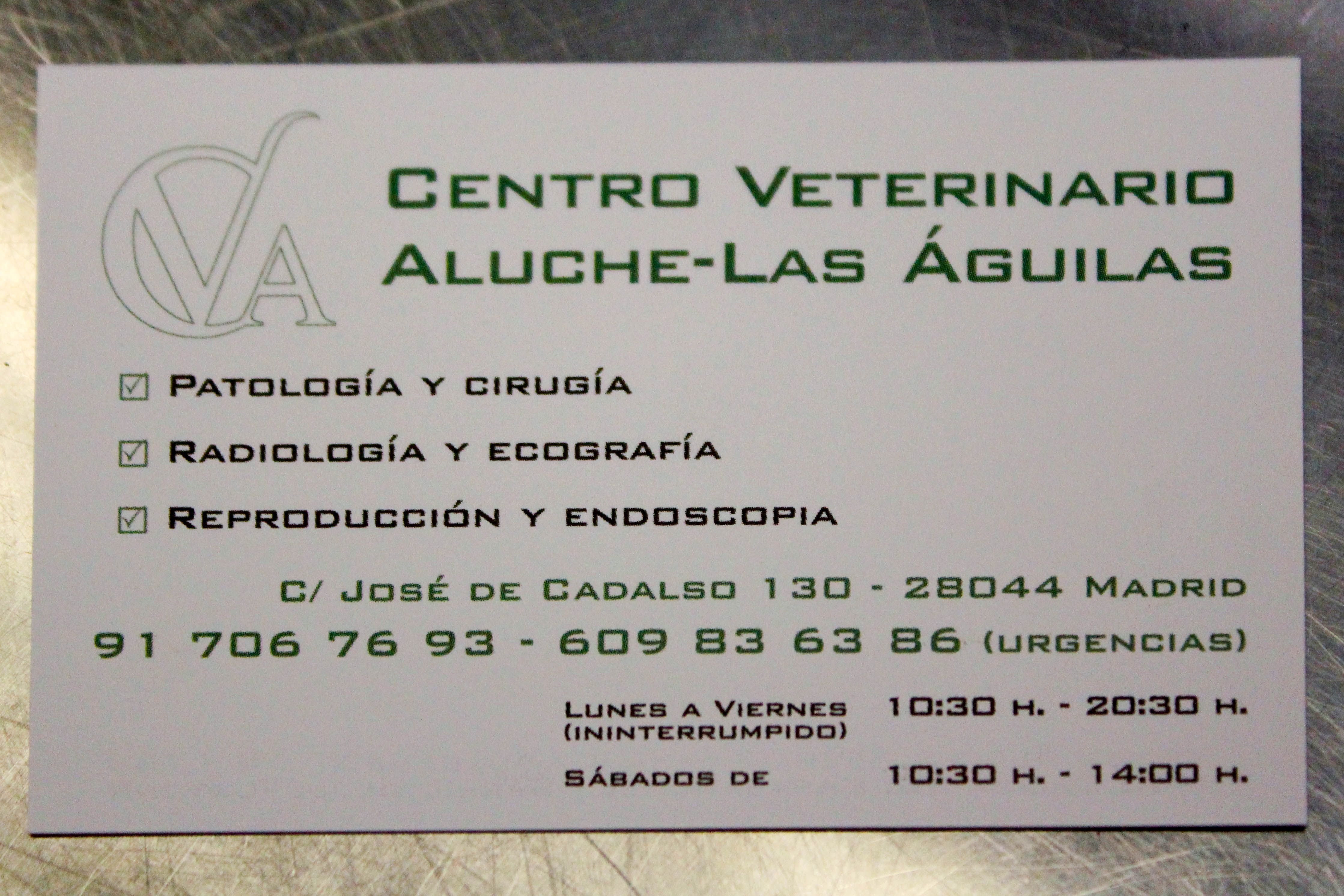 Foto 4 de Veterinarios en Madrid | Centro Veterinario Aluche Las Águilas