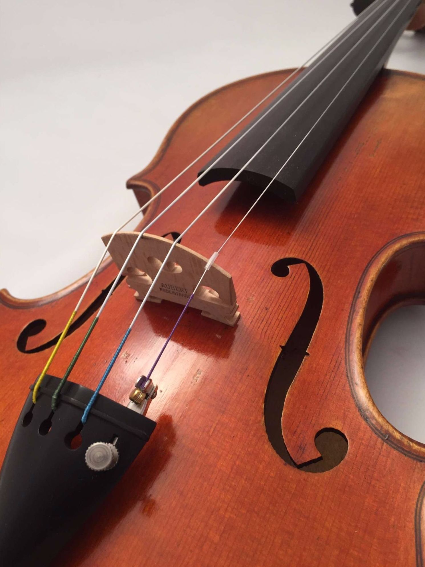 VIOLIN STENTOR MASTER 4/4 VIOLIN STENTOR MASTER 4/4