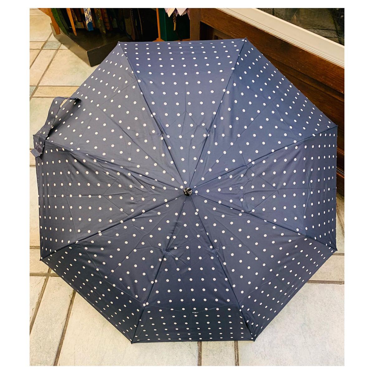 Paraguas de caballero en Logroño