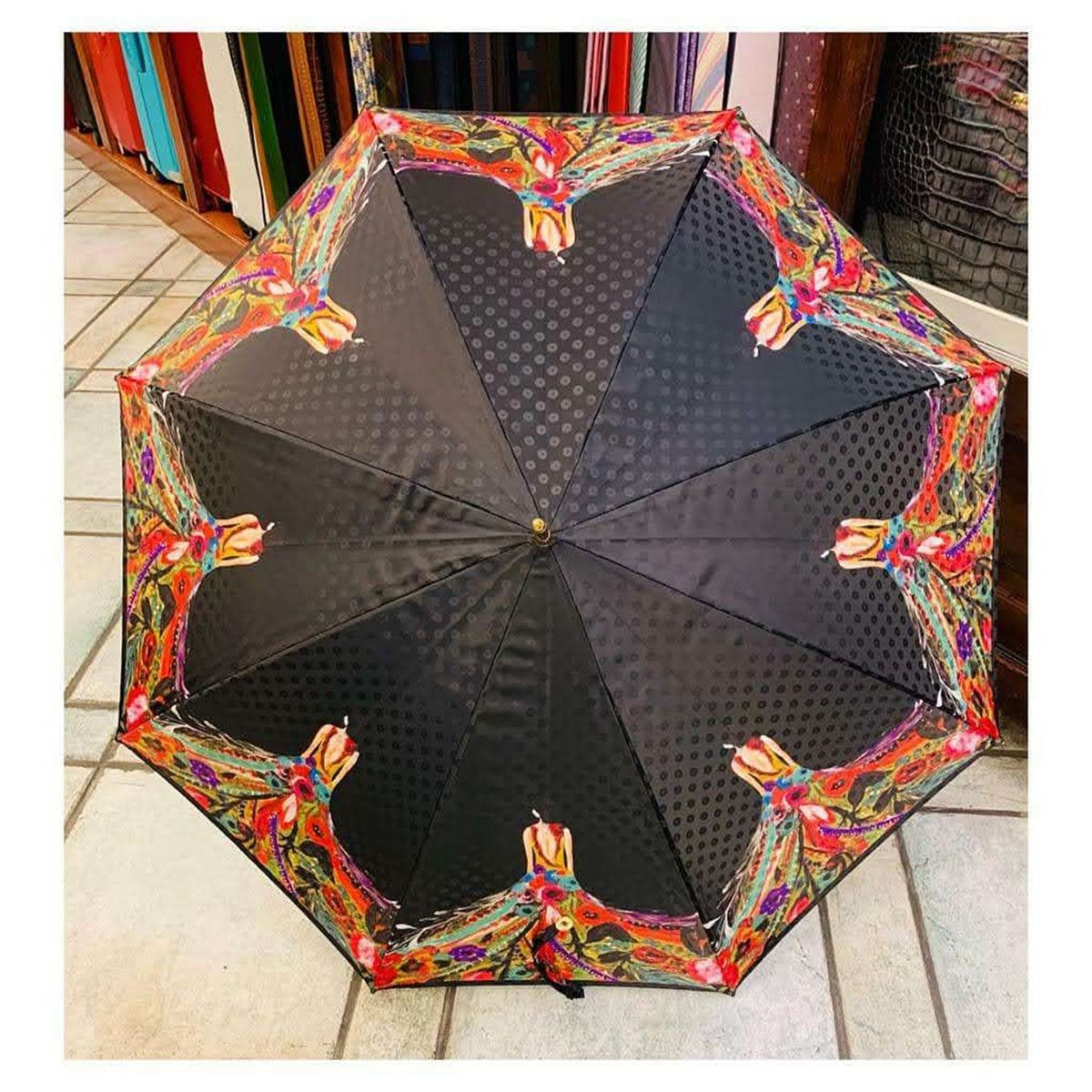 Tienda de paraguas en Logroño