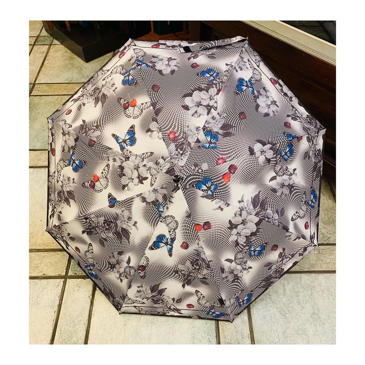 Paraguas de señora en Logroño