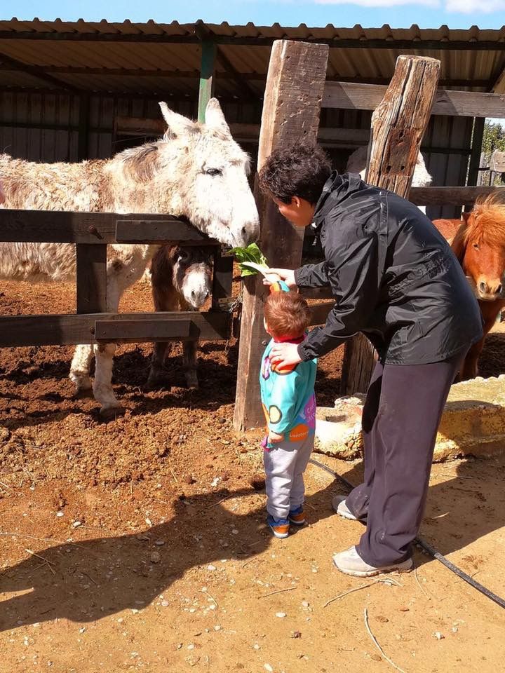 Excursiones: Centro Infantil Pompitas de Centro Infantil Pompitas Excursiones: Centro Infantil Pompitas de Centro Infantil Pompitas