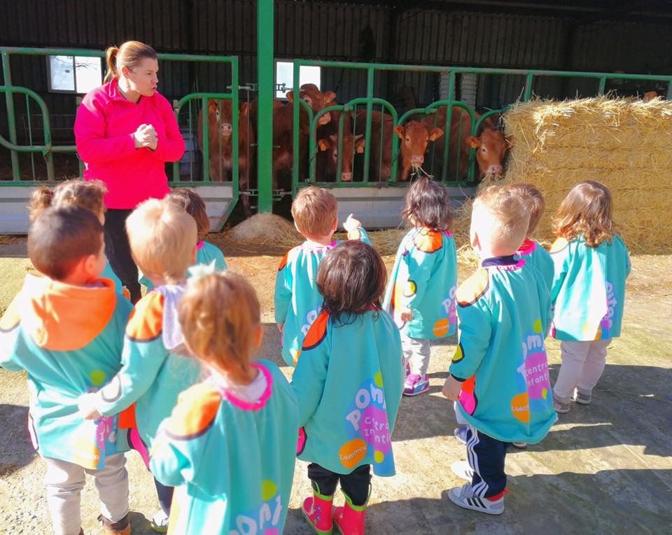 Excursiones: Centro Infantil Pompitas de Centro Infantil Pompitas Excursiones: Centro Infantil Pompitas de Centro Infantil Pompitas