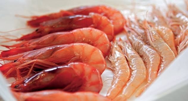 Congelados: Servicios de Pescadería Susomar Congelados: Servicios de Pescadería Susomar