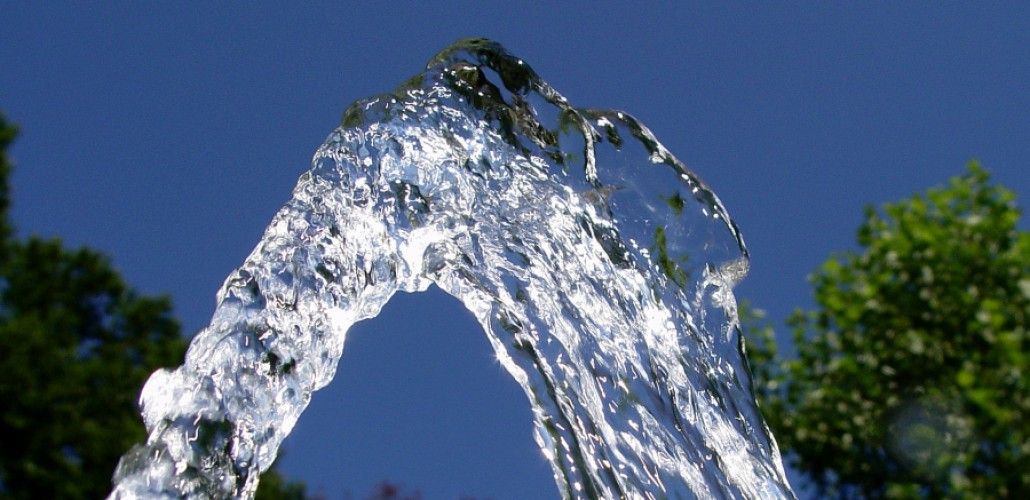 Legionella: Servicios de Flodesin Legionella: Servicios de Flodesin