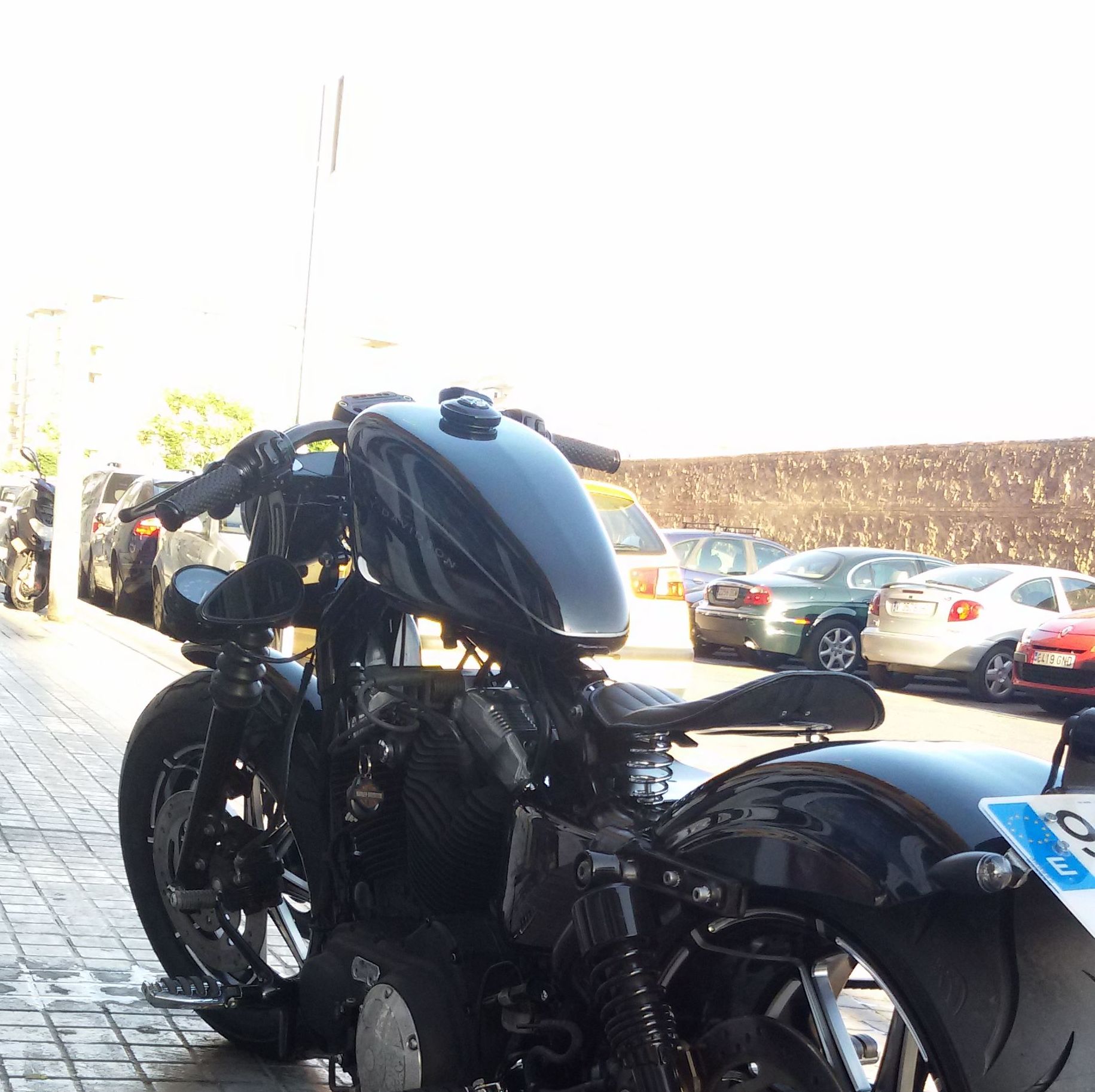 transformacion sporsters , customizar harley davidson, venta harley davidson transformacion sporsters , customizar harley davidson, venta harley davidson