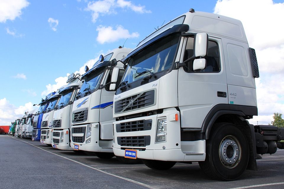 Servicios express: Servicios de Transportes TSL Servicios express: Servicios de Transportes TSL