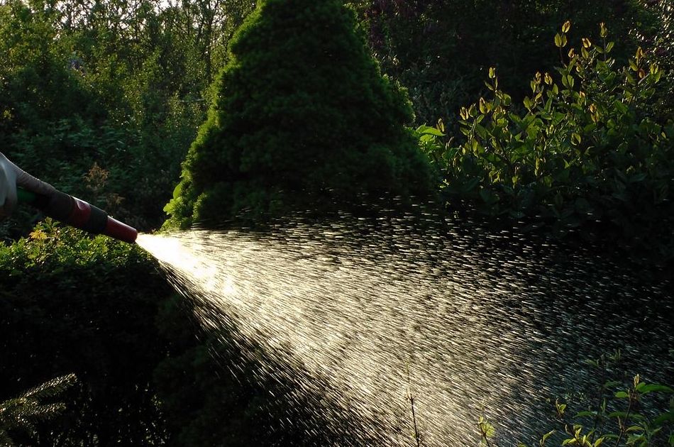 Sistemas de riego: Servicios de Interjardín Sistemas de riego: Servicios de Interjardín