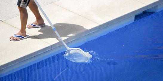 Mantenimiento de piscinas: Servicios de Interjardín Mantenimiento de piscinas: Servicios de Interjardín