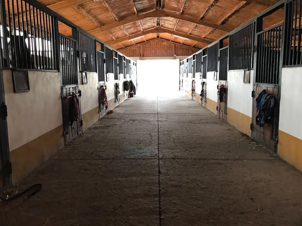 Instalaciones: Servicios de Club Hípico Lira Cubero Instalaciones: Servicios de Club Hípico Lira Cubero