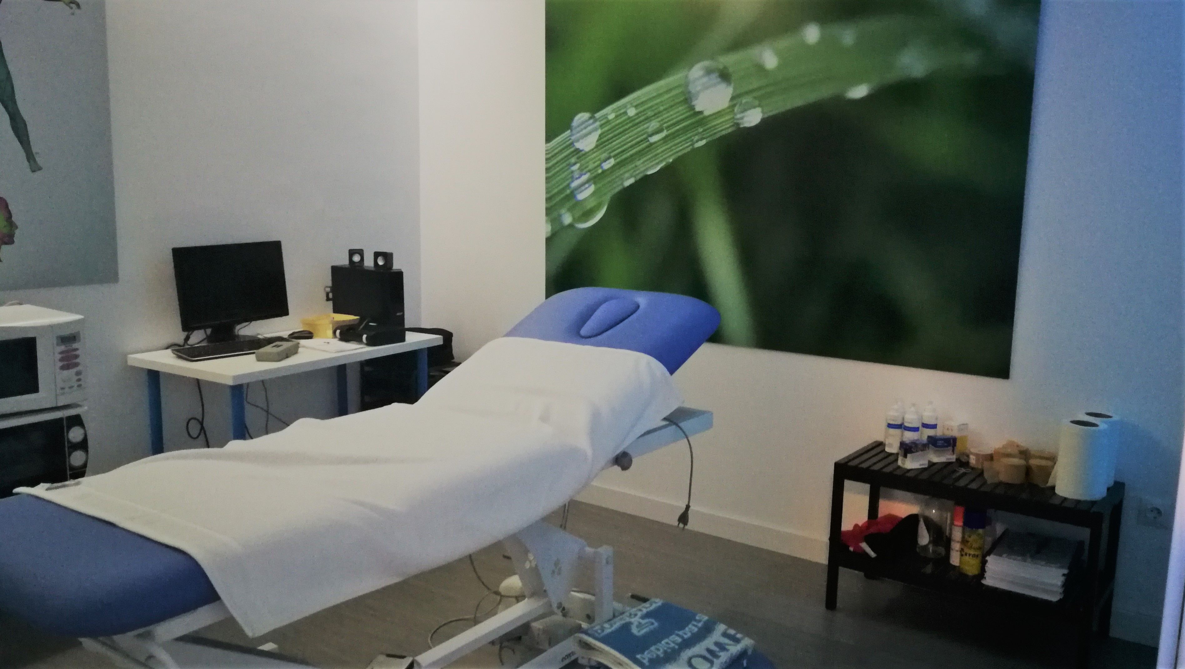 Servicio de fisioterapia: Servicios de Global Training & Health Servicio de fisioterapia: Servicios de Global Training & Health