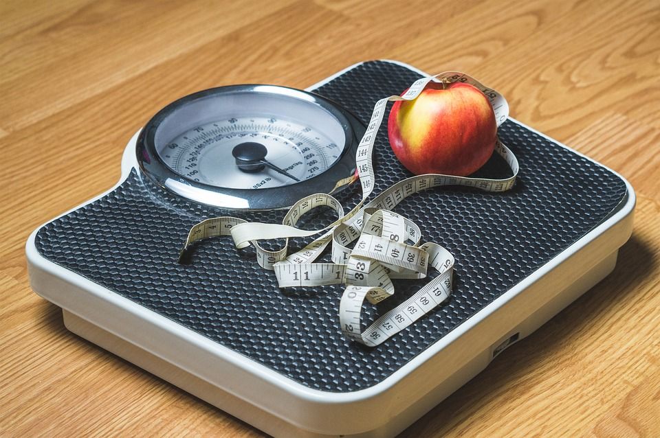 Servicio de nutricionista: Servicios de Global Training & Health Servicio de nutricionista: Servicios de Global Training & Health