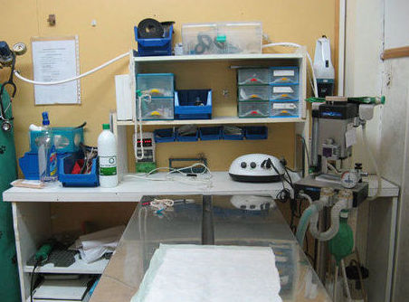 Cirugía y hospitalización: Servicios de Gos i Gat clínica veterinària sl Cirugía y hospitalización: Servicios de Gos i Gat clínica veterinària sl