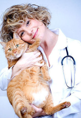 Etología: Servicios de Gos i Gat clínica veterinària sl Etología: Servicios de Gos i Gat clínica veterinària sl