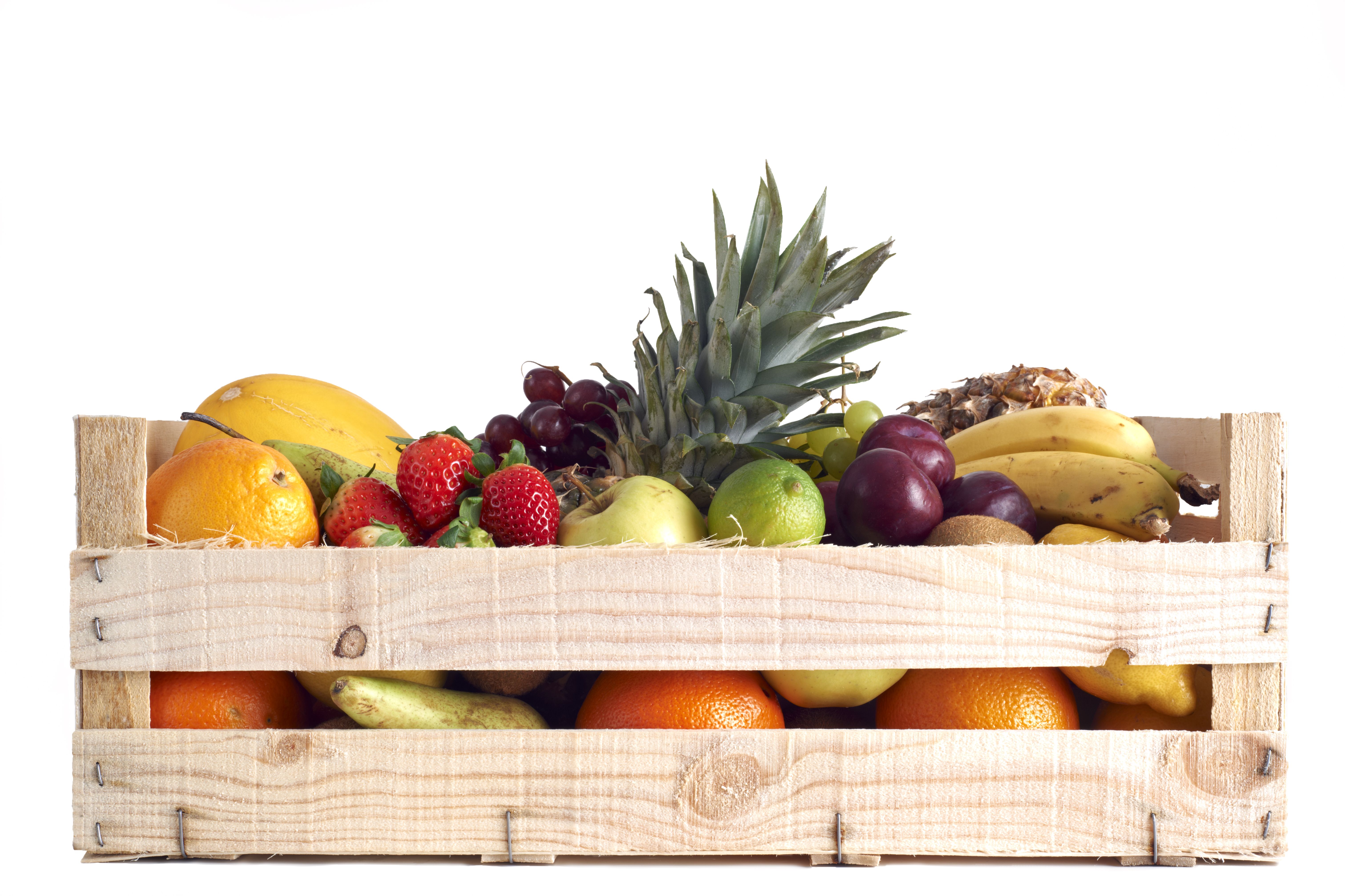 Distribución de frutas y hortalizas: Nuestros servicios de Alfa Growers }}