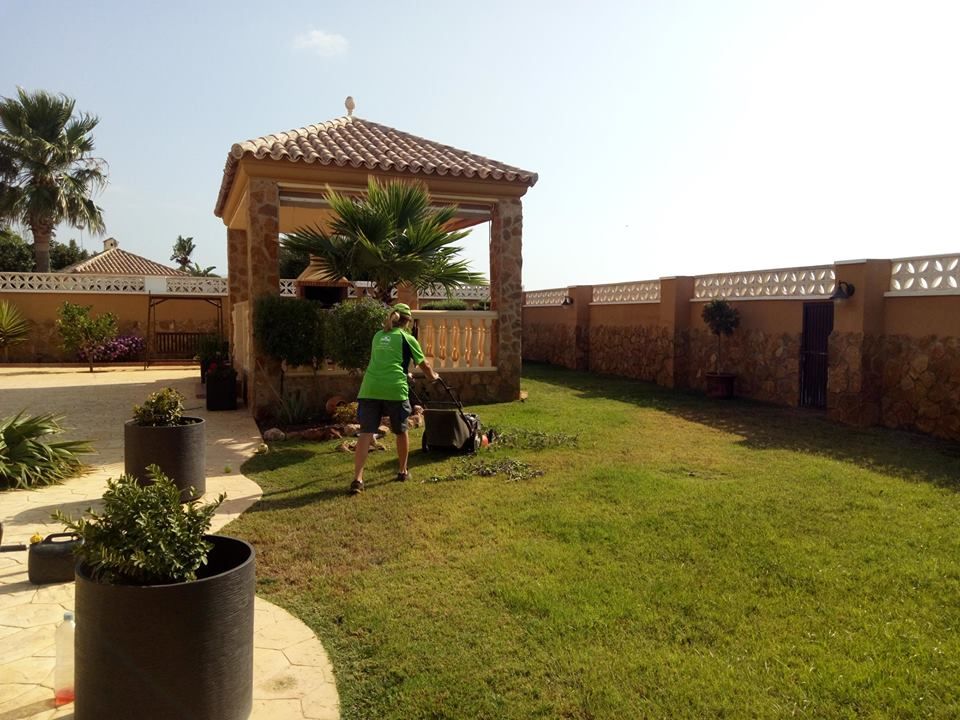 Mantenimiento de jardines: Servicios de PauMar Jardines y Piscinas Mantenimiento de jardines: Servicios de PauMar Jardines y Piscinas