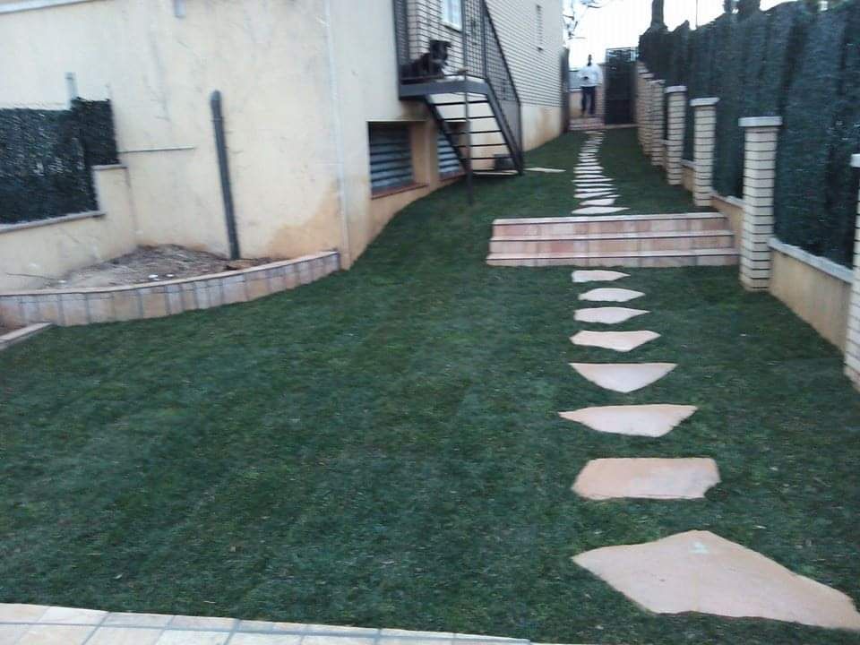 Mantenimiento de jardines: Servicios de Reformas y Jardinería Juan Mantenimiento de jardines: Servicios de Reformas y Jardinería Juan