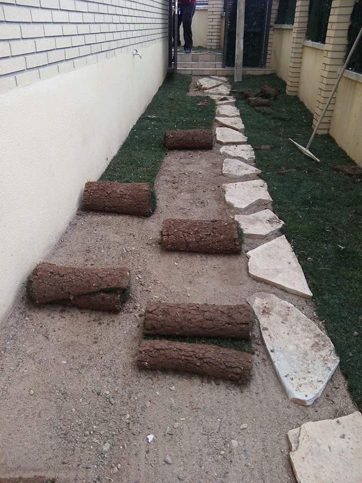 Mantenimiento de jardines: Servicios de Reformas y Jardinería Juan Mantenimiento de jardines: Servicios de Reformas y Jardinería Juan