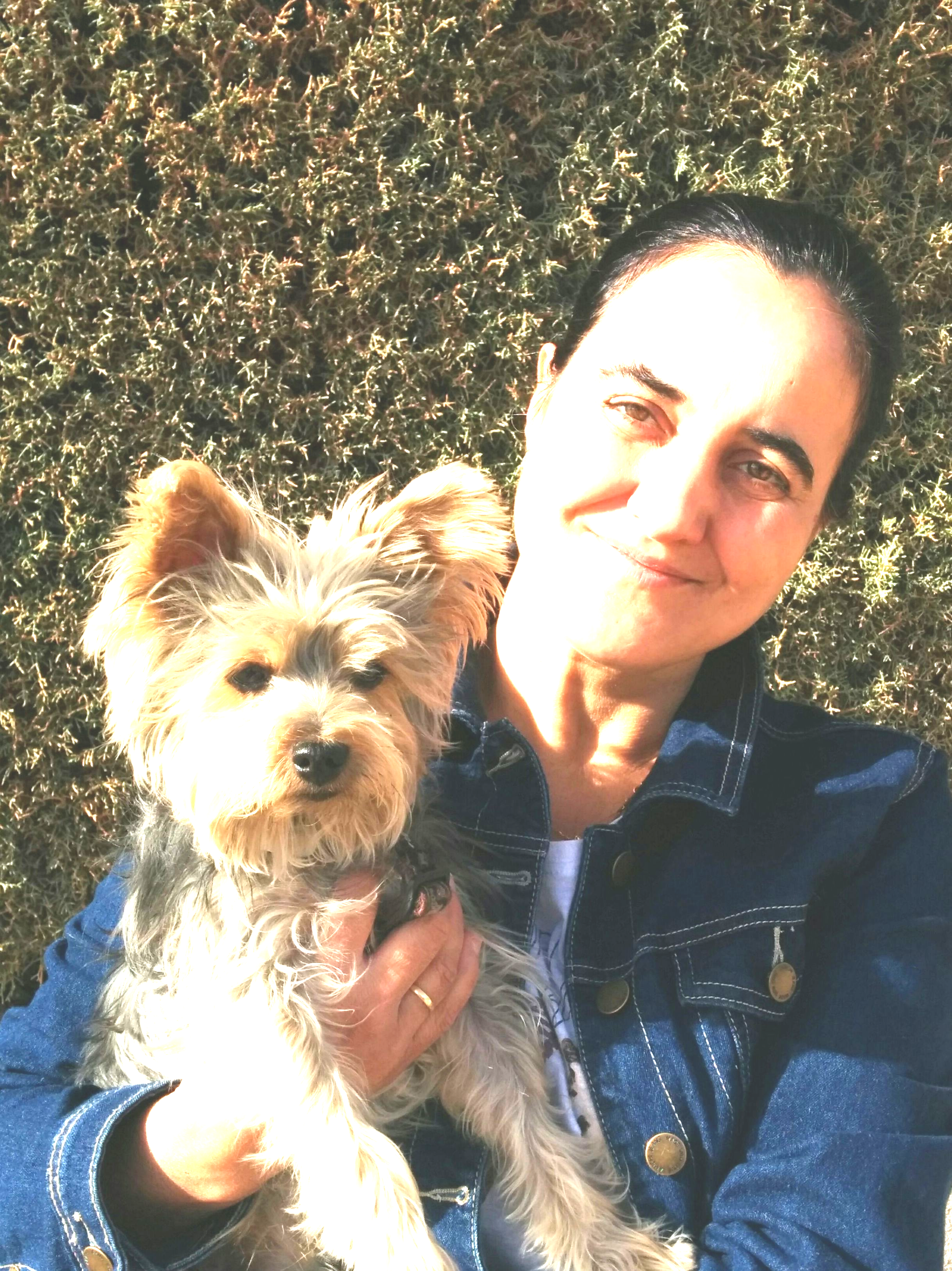 Planes Salud perros: Servicios de JESUS GARCIA CORONADO Planes Salud perros: Servicios de JESUS GARCIA CORONADO