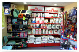 Tienda: Servicios de JESUS GARCIA CORONADO Tienda: Servicios de JESUS GARCIA CORONADO
