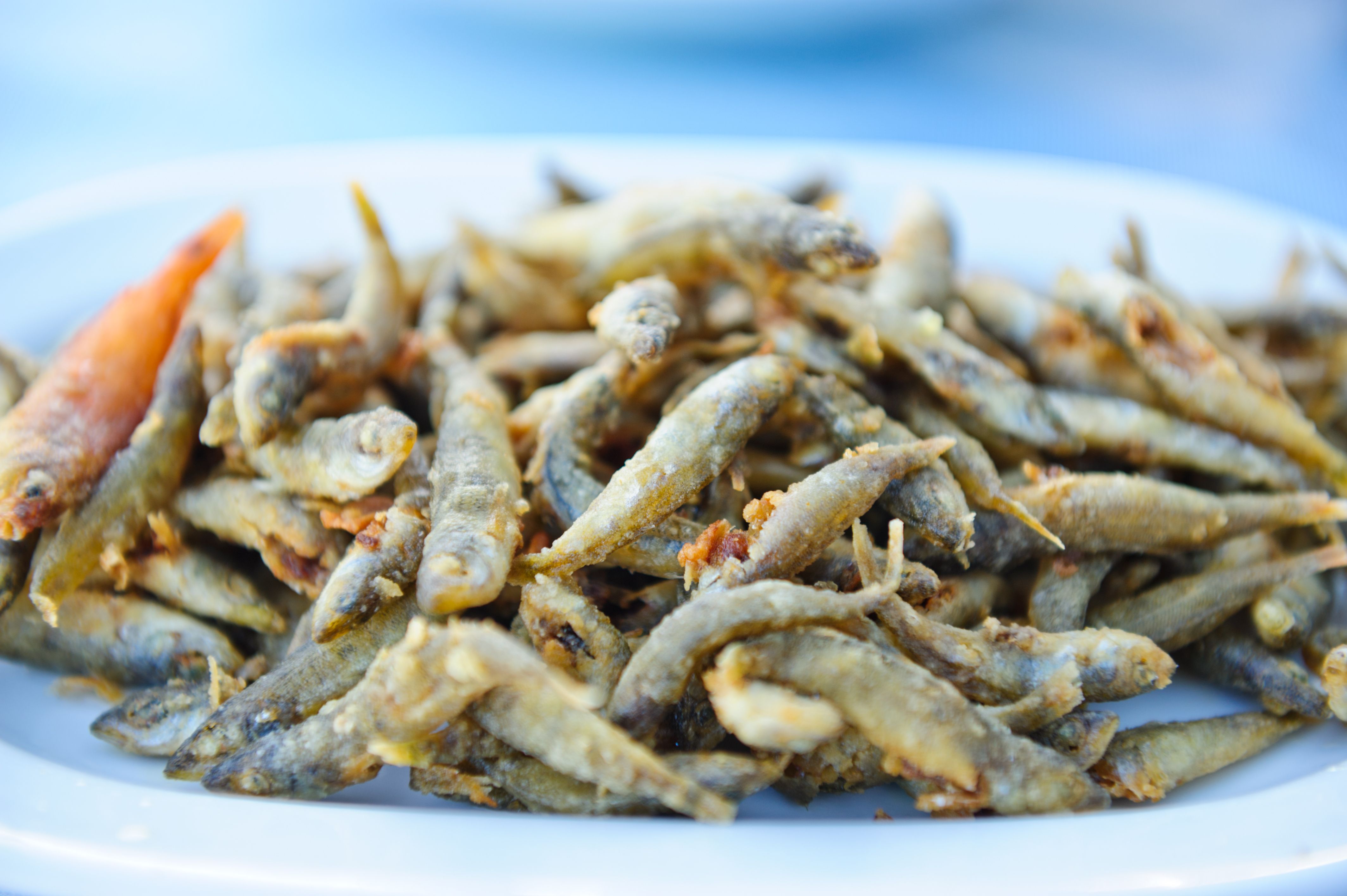 Pescado frito: Nuestros platos de Pollos Asados Richi Pescado frito: Nuestros platos de Pollos Asados Richi