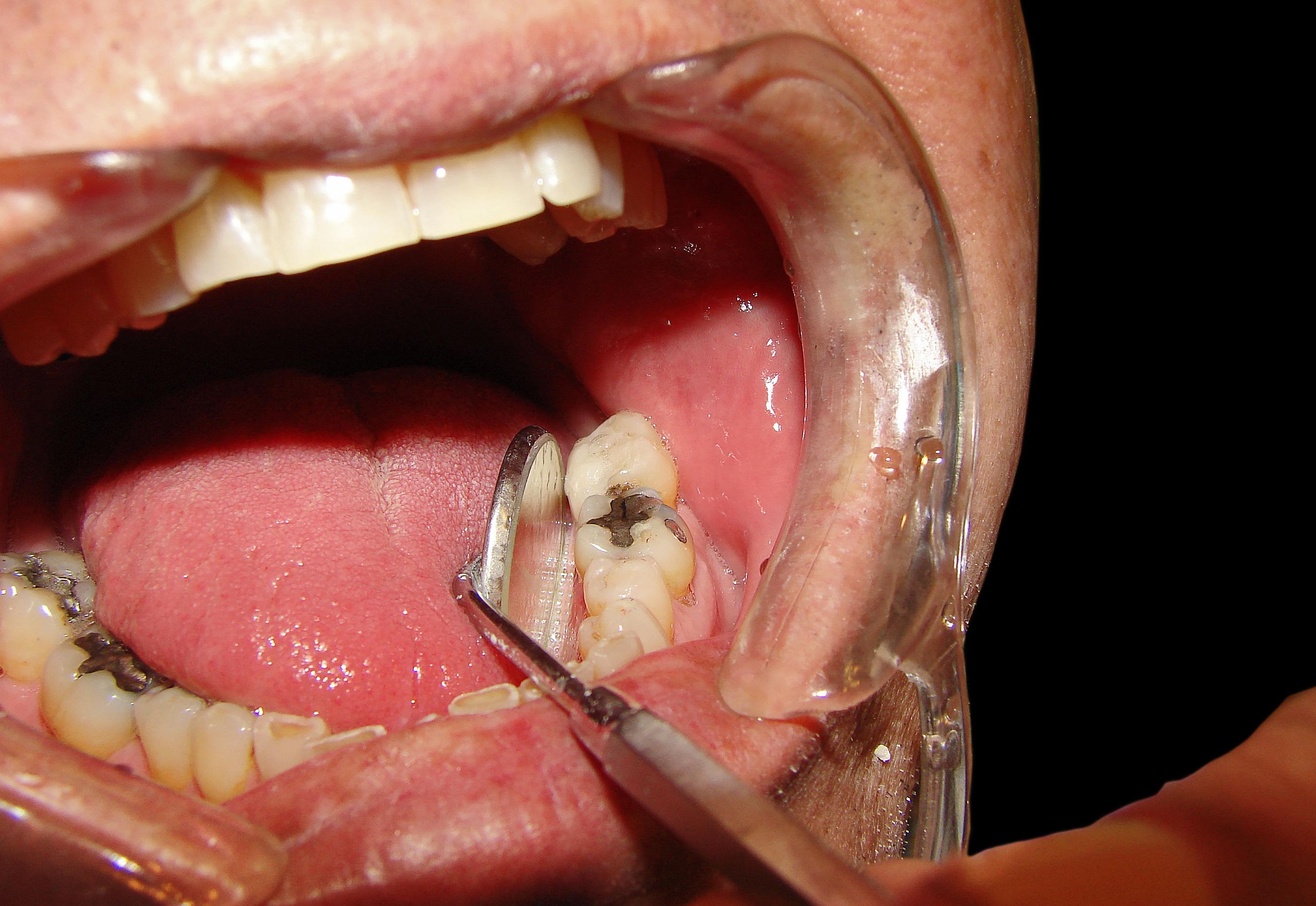 Ortodoncia, periodoncia, prótesis, estética dental