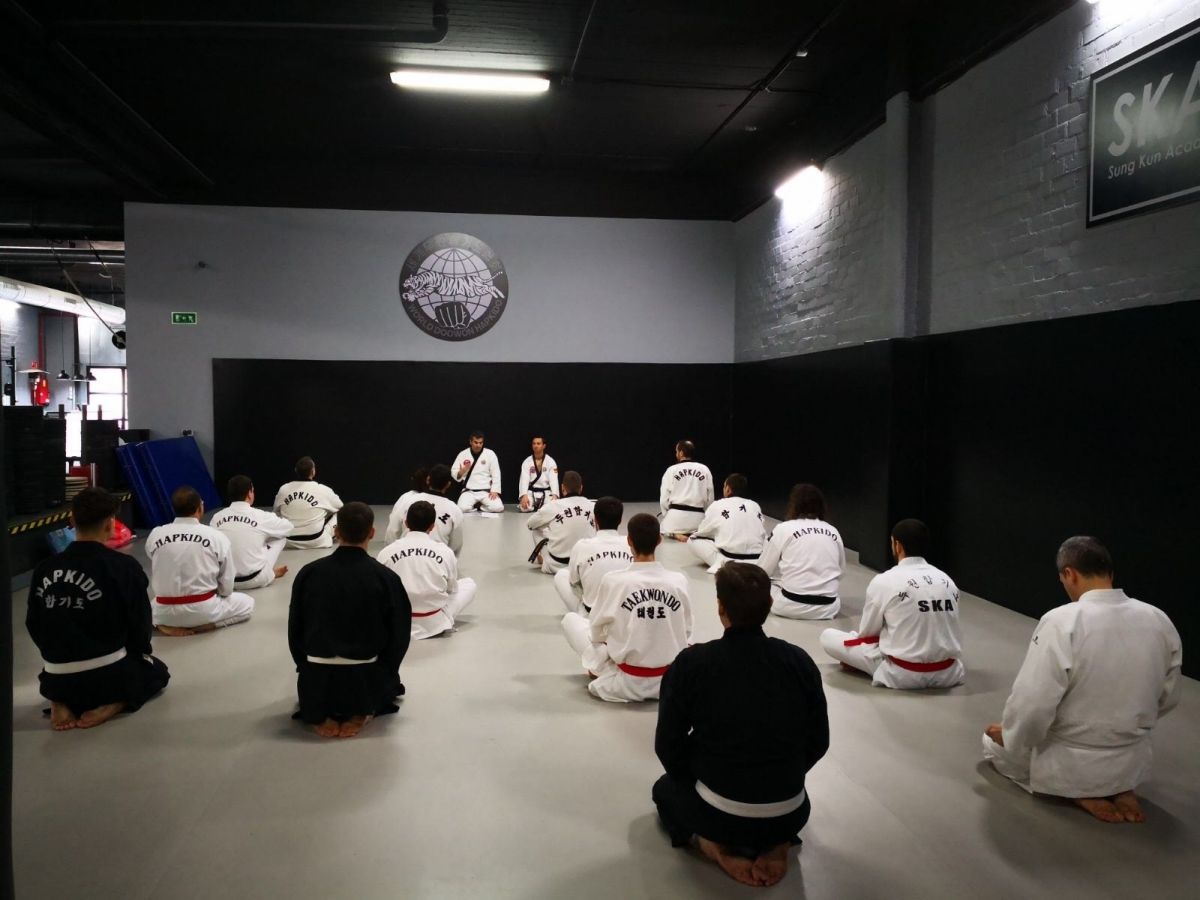Hapkido: Actividades de Box Capital Sur Hapkido: Actividades de Box Capital Sur