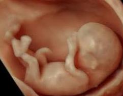 ECO SEXO: Servicios de ECOBABY 4D/5D Tel. 661 32 12 56 ECO SEXO: Servicios de ECOBABY 4D/5D Tel. 661 32 12 56