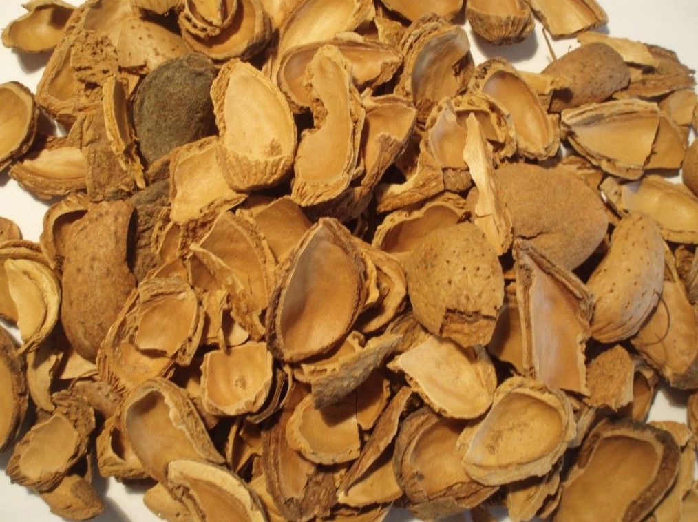 Cáscara de almendra Cáscara de almendra
