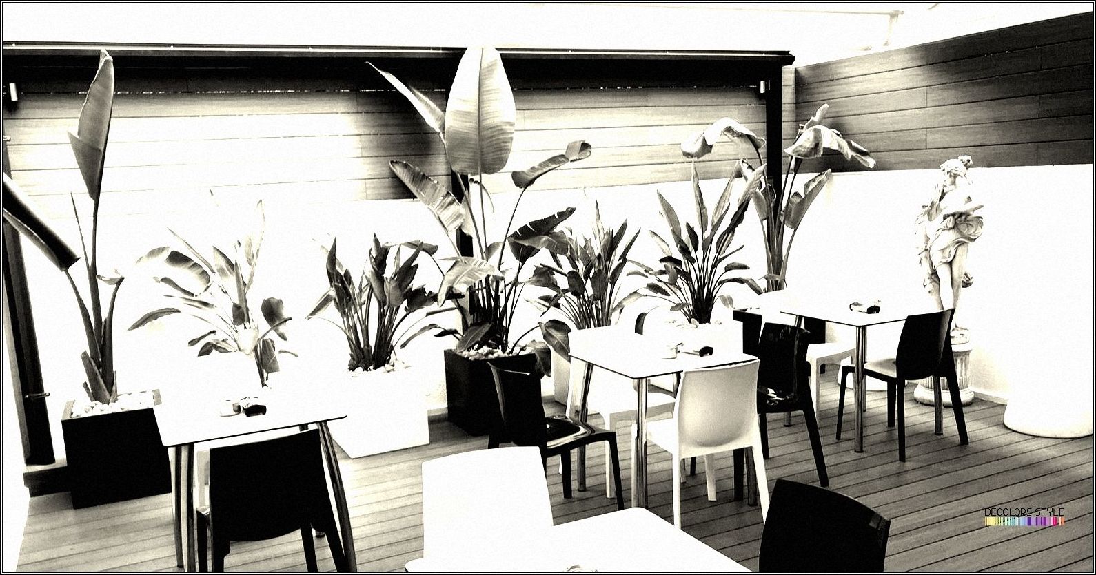 Diseño Terraza Bar