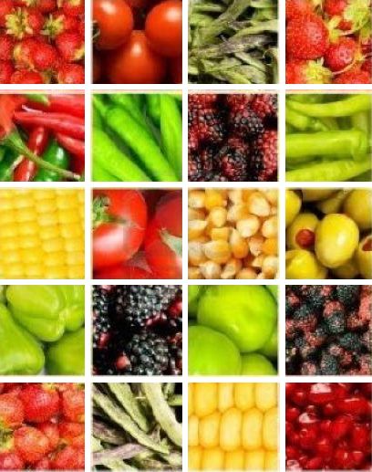 Servicios: Productos de Semiagro Servicios: Productos de Semiagro