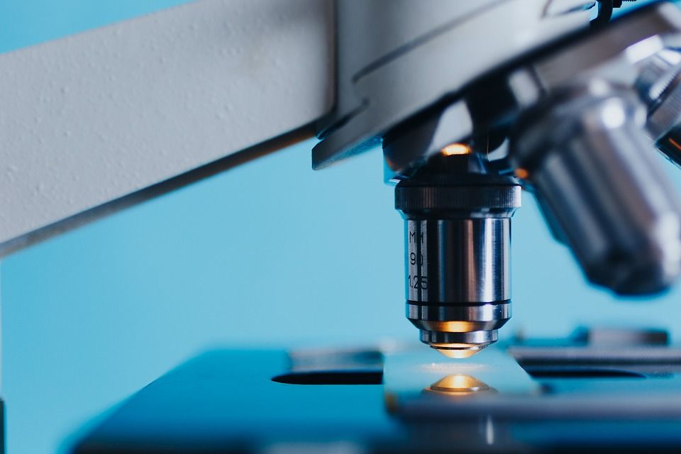 Análisis de proteínas en alimentos: Servicios de Ainprot, S.A. Análisis de proteínas en alimentos: Servicios de Ainprot, S.A.