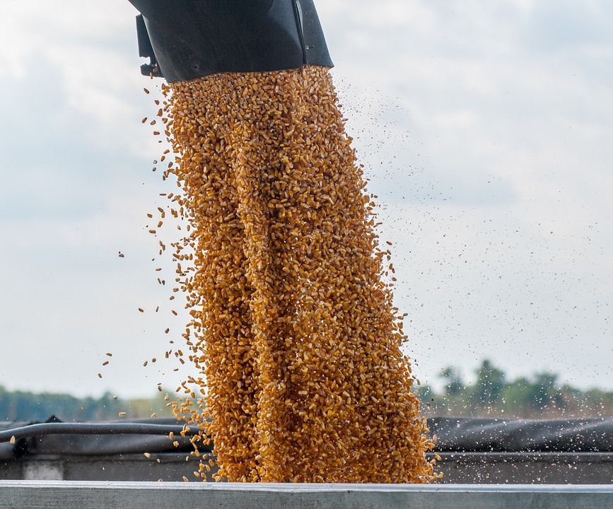 Control de alimentos para ganado: Servicios de Ainprot, S.A. Control de alimentos para ganado: Servicios de Ainprot, S.A.