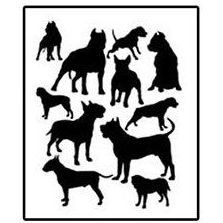 Animales peligrosos: Servicios de Psicotécnicos Simón Hernández Animales peligrosos: Servicios de Psicotécnicos Simón Hernández